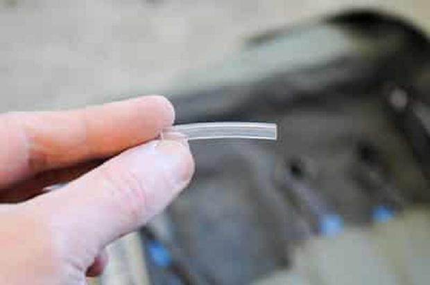 图解 夏天韩国鹅耳枥盆景怎么修剪的方法