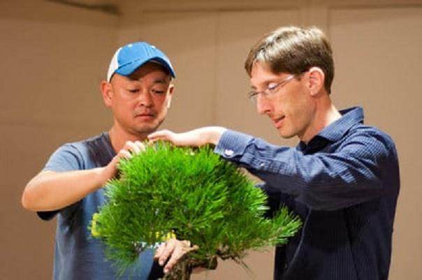 图解 在秋季对黑松盆景的修剪工作