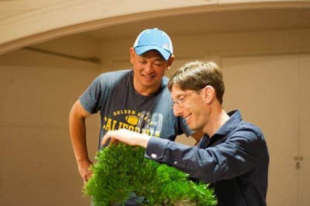 图解 在秋季对黑松盆景的修剪工作