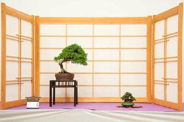 红木帝国盆景协会第28届年度展