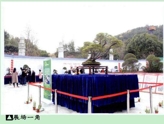 慈溪峙山公园举办2018新春盆景展