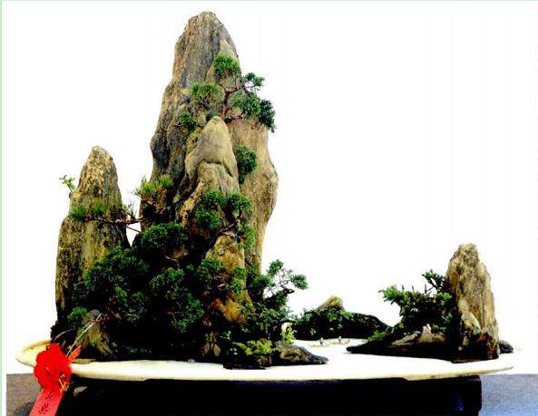 浅谈海派山水盆景怎么制作的5个步骤