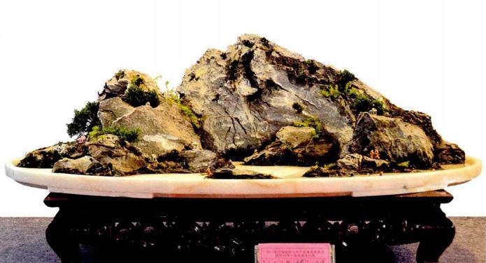 浅谈海派山水盆景怎么制作的5个步骤