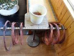 参观铃木君的盆景工作室