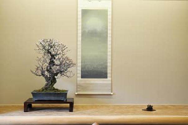 访问日本盆友铃木信二的盆景园