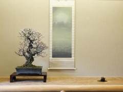 访问日本盆友铃木信二的盆景园