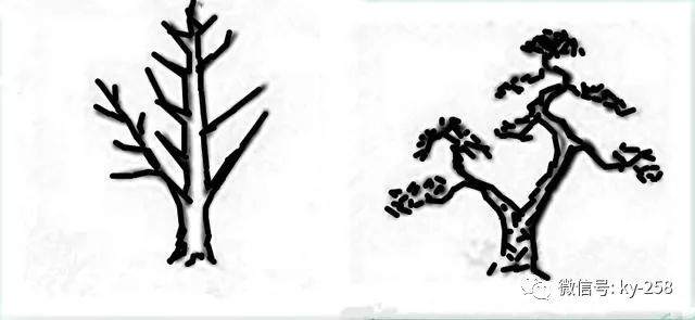图解 适用盆景造型的几种形式