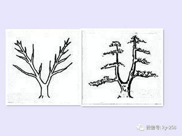 图解 适用盆景造型的几种形式