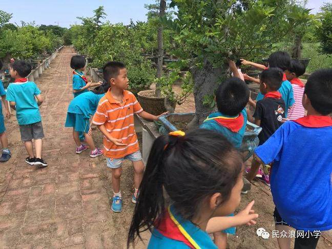 一（6）班开展盆景的修剪家长进课堂活动