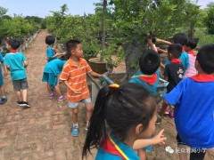 一（6）班开展盆景的修剪家长进课堂活动