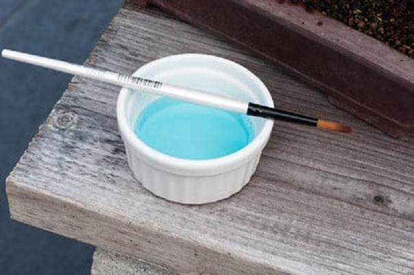 如何用肥皂水涂抹盆景苔藓