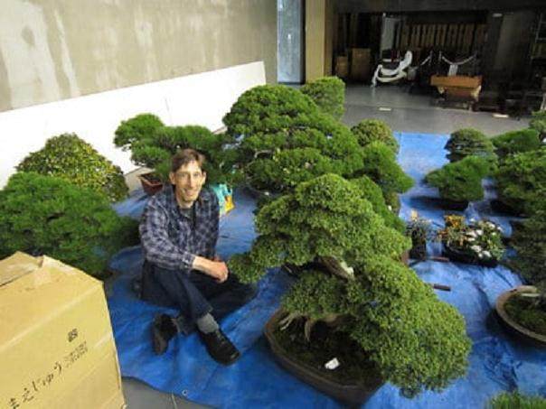 冈崎市Daiju-en家族的年度盆景展