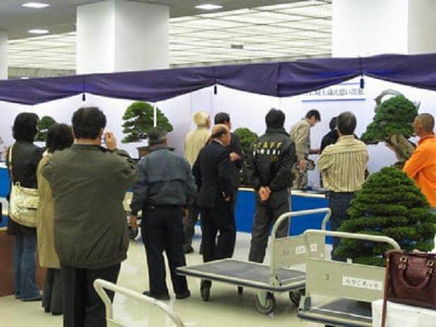 2011年的Grandview盆景展在日本京都举行