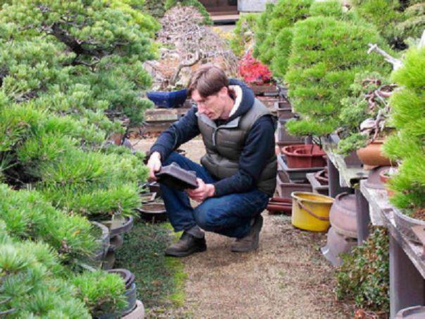 我在日本做盆景学徒6周的生活