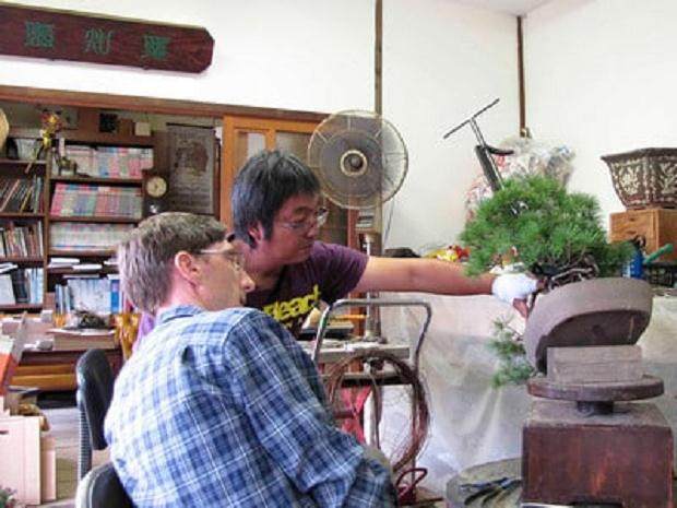 我在日本做盆景学徒6周的生活