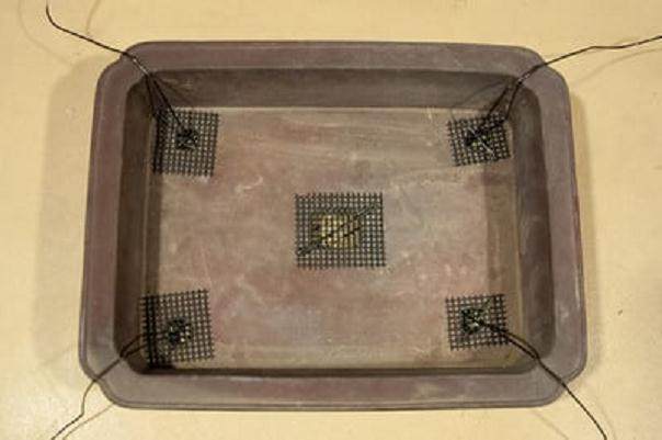 图解 如何连接盆景盆子的方法