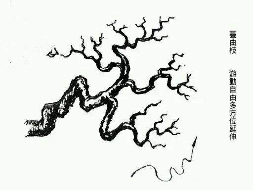 图片收藏 盆景造型中常见的9种枝法