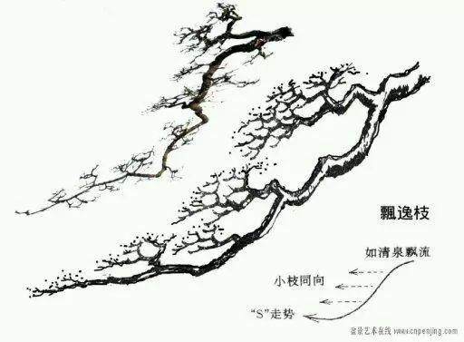 图片收藏 盆景造型中常见的9种枝法
