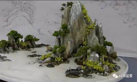 金奖的山水盆景作品竟然是用水泥整的