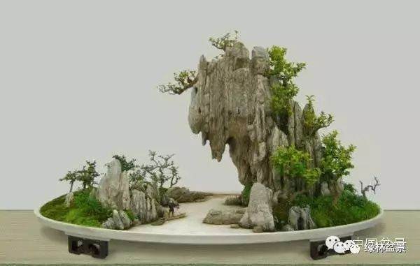 金奖的山水盆景作品竟然是用水泥整的
