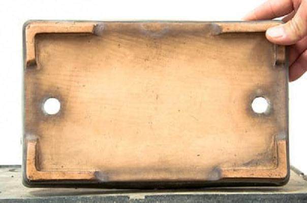 请欣赏 第13届湾岛盆景展上的柏树盆景