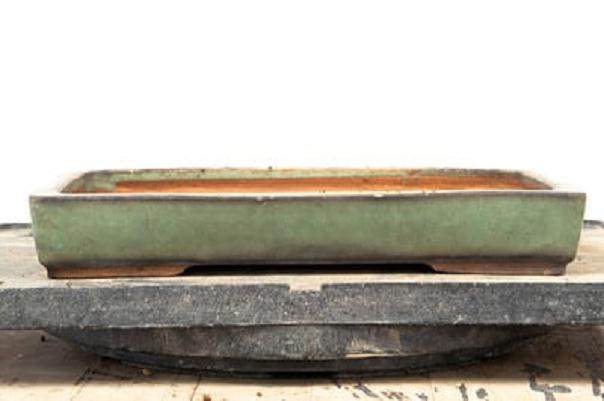 请欣赏 第13届湾岛盆景展上的柏树盆景