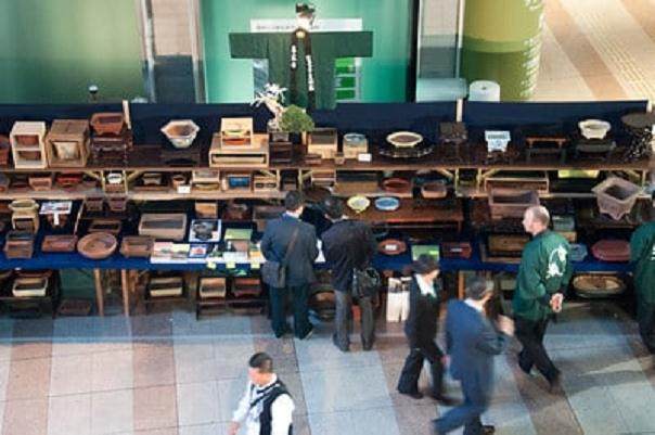 你知道在日本举办世界级的盆景大会是什么的感觉?