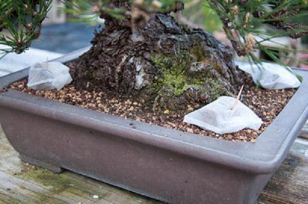 图解 简单而整洁的盆景肥料 茶包