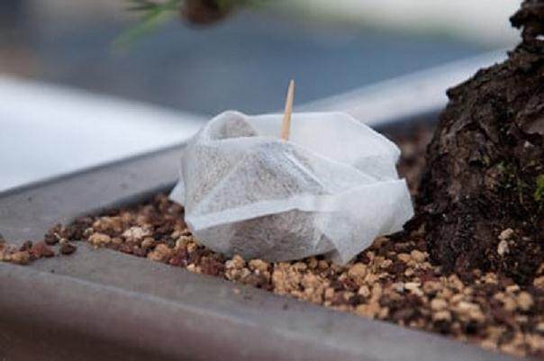 图解 简单而整洁的盆景肥料 茶包