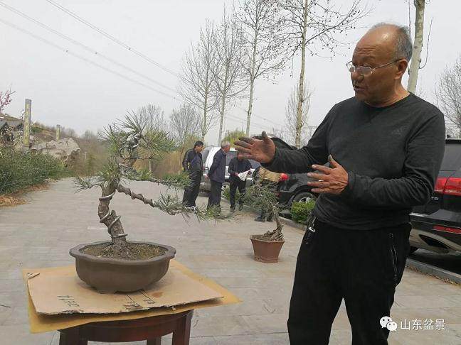 2018年 山东盆景艺术大师评审工作