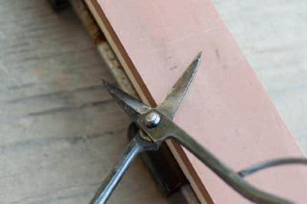 图解 你知道盆景工具该如何保养吗