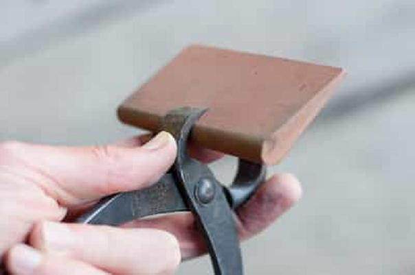 图解 你知道盆景工具该如何保养吗