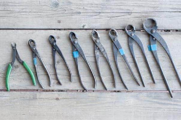 图解 今天谈谈盆景工具怎么使用