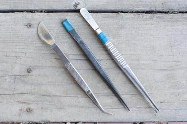 图解 今天谈谈盆景工具怎么使用