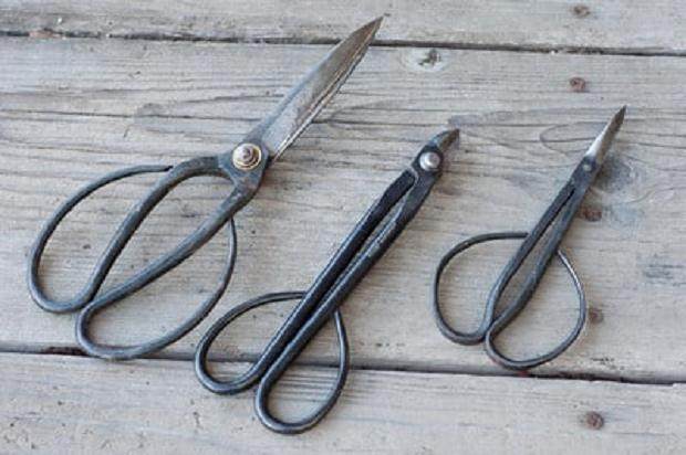 图解 来自日本的新盆景工具有哪些