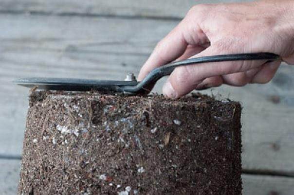 图解 来自日本的新盆景工具有哪些