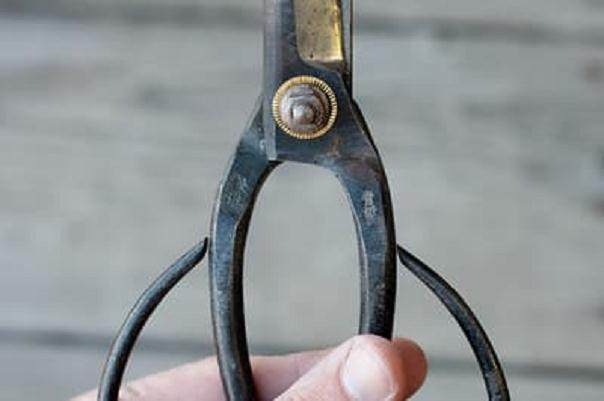 图解 来自日本的新盆景工具有哪些