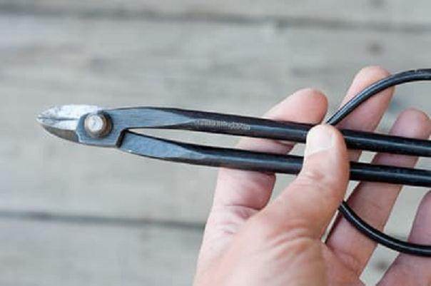 图解 来自日本的新盆景工具有哪些