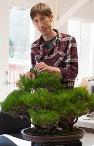 夏季盆景修剪的季节到来了