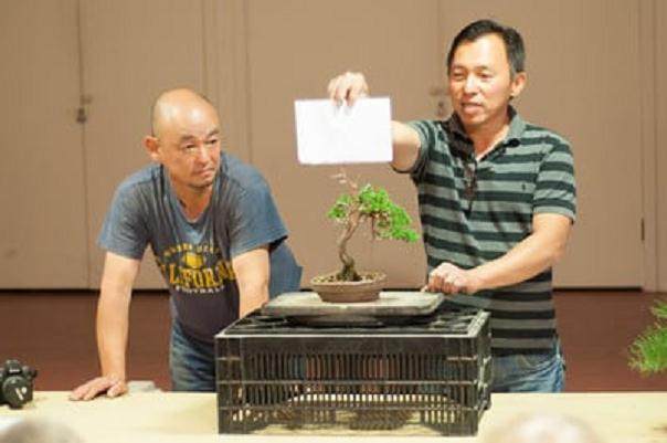 在湾岛盆景会议上对Akio Kondo的评论