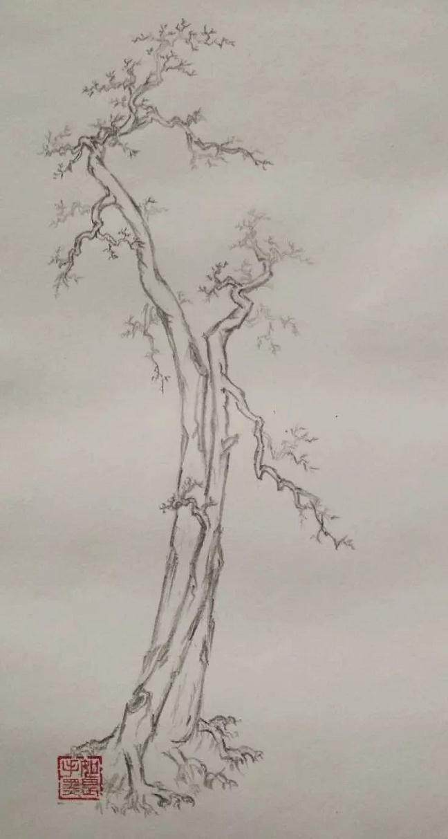 盆景倒栽 由什么是好下山桩说起