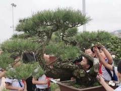 我和同学们一同登上了开往鸿江盆景园的公交车