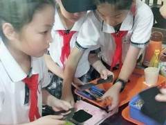 时间一分一秒地过去了 我们终于来到了鸿江盆景园