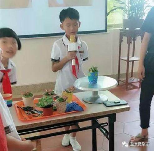 今天上午 我和老师、同学们一起去鸿江盆景园