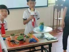 今天上午 我和老师同学们一起去鸿江盆景园