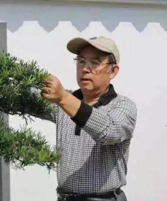 BCI国际盆景大师王如生招收学徒啦！