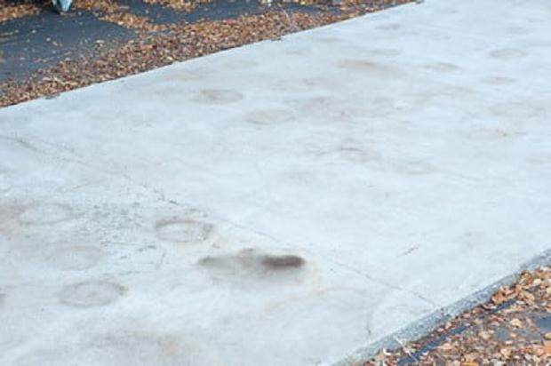 盆景土壤潮湿后 如何烘干 图片