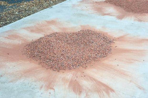 盆景土壤潮湿后 如何烘干 图片