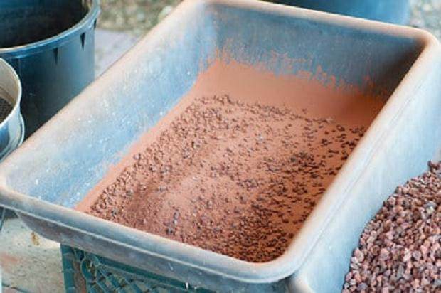 盆景土壤潮湿后 如何烘干 图片