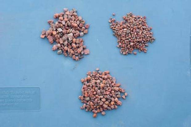 盆景土壤潮湿后 如何烘干 图片